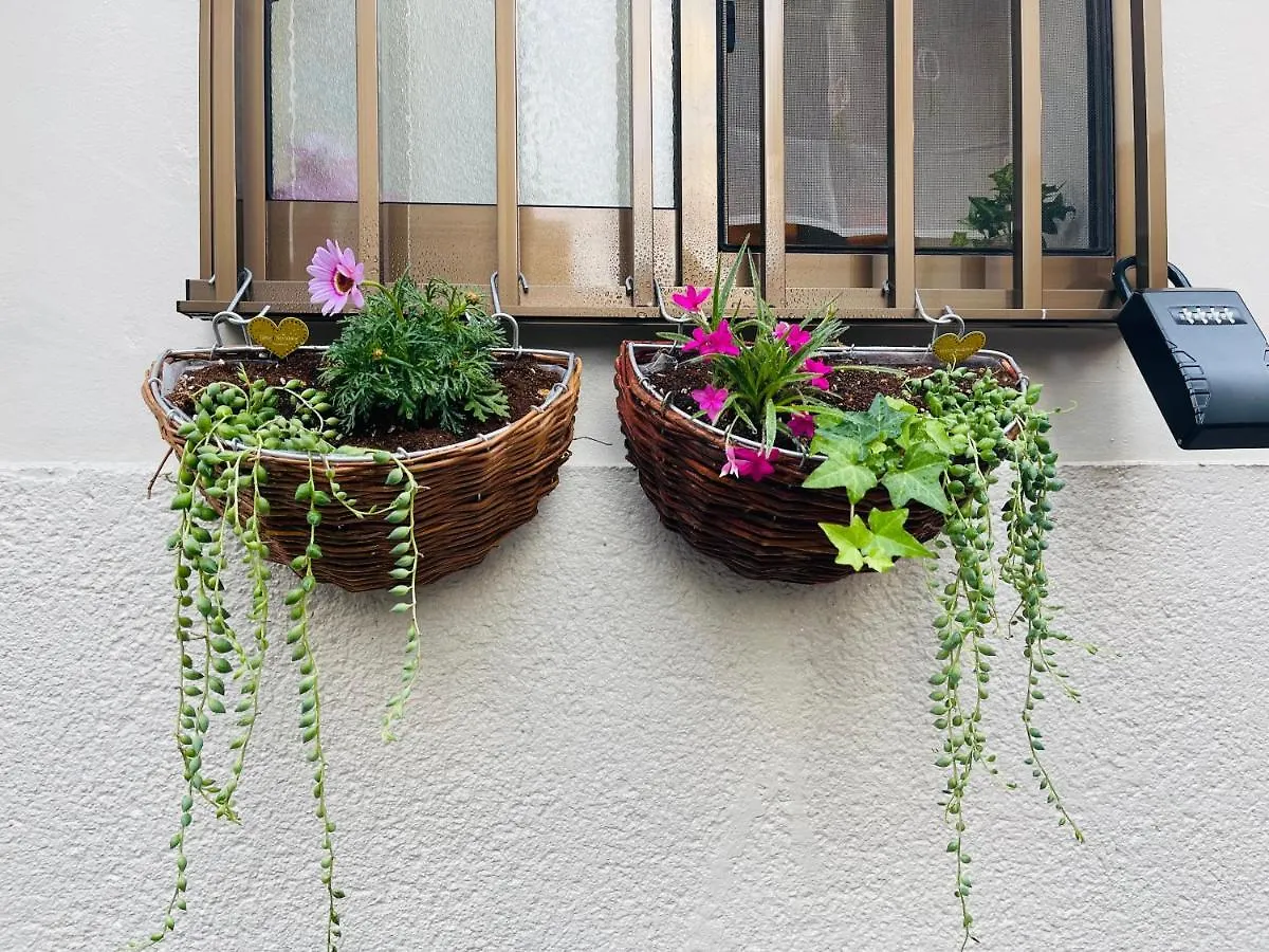 Namba Shinsaibashi 10 Mins Reiko Guest House 大阪市 0*,