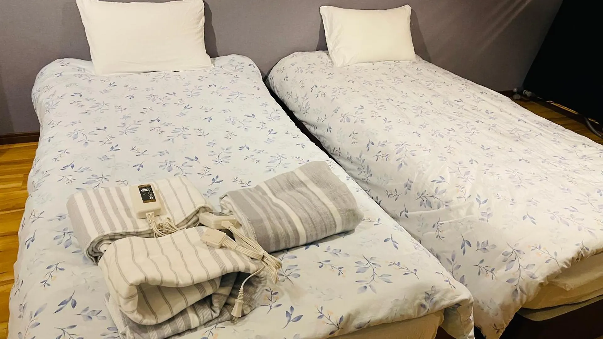 ヴィラ Namba Shinsaibashi 10 Mins Reiko Guest House 大阪市